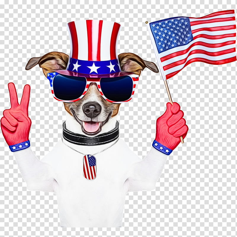 Veterans Day United States, 4th Of July , Happy 4th Of July, Independence Day, Fourth Of July, Celebration, American, Pointing Dog transparent background PNG clipart