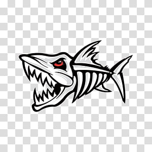 Shark Logo transparent background PNG cliparts free download