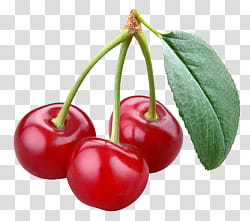 AESTHETIC GRUNGE, red cherries illustration transparent background PNG clipart