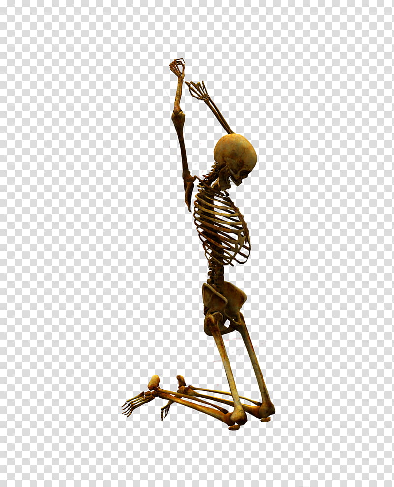 E S Bones II, kneeling brown skeleton transparent background PNG clipart