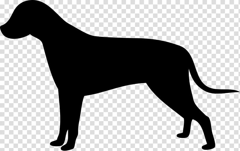 Mountain, Labrador Retriever, Puppy, Conformation Show, Show Dog, Rescue Dog, Terrier, Attack Dog transparent background PNG clipart