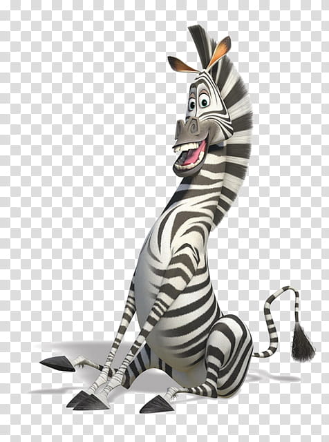 Zebra, Marty, Alex, Melman, Gloria, Madagascar, Makunga, Drawing transparent background PNG clipart