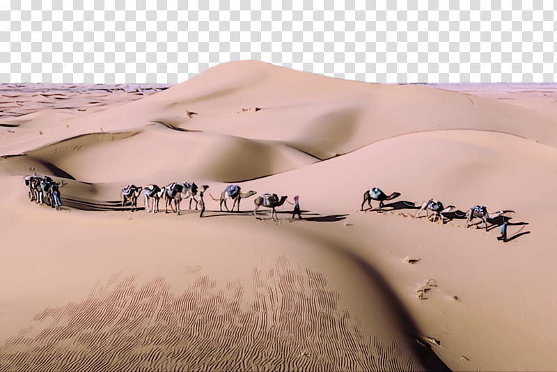 Desert sand aeolian landform erg natural environment, Sahara, Dune, Singing  Sand, Landscape, Ecoregion transparent background PNG clipart