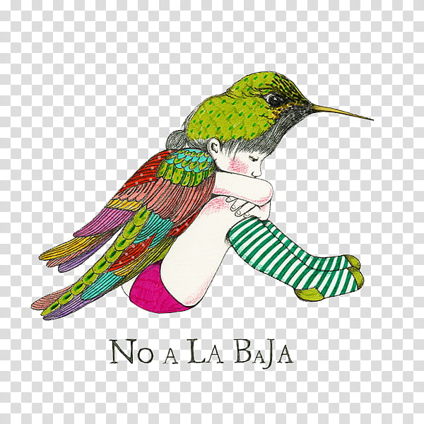 art , No a La Baja illsutration transparent background PNG clipart