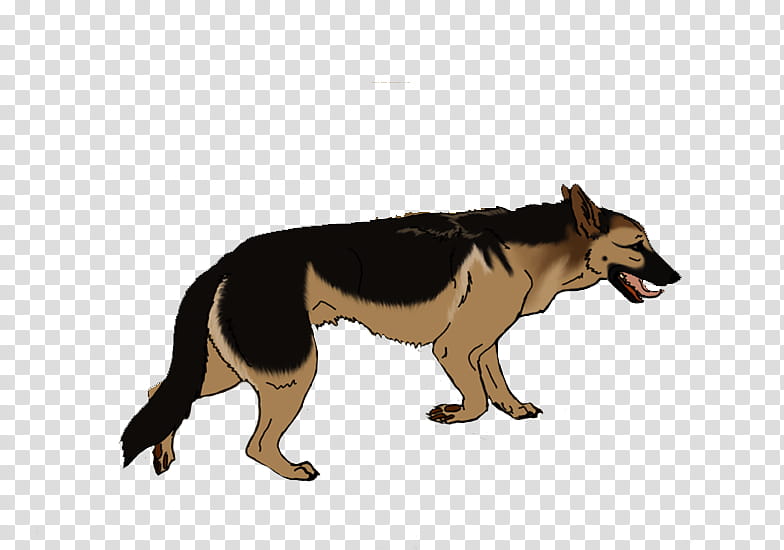 Police, German Shepherd, Malinois Dog, Siberian Husky, American Pit Bull Terrier, Belgian Shepherd, Rottweiler, Puppy transparent background PNG clipart