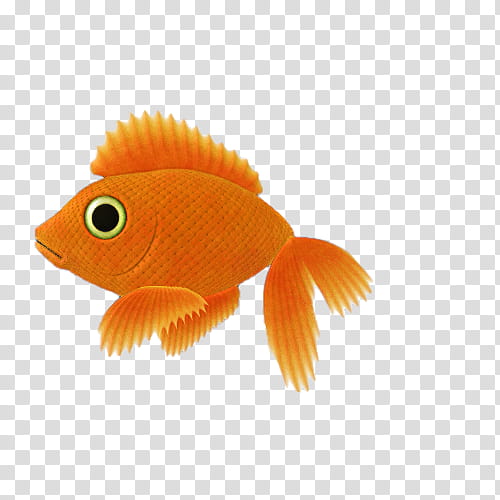 Fishes, orange fish transparent background PNG clipart
