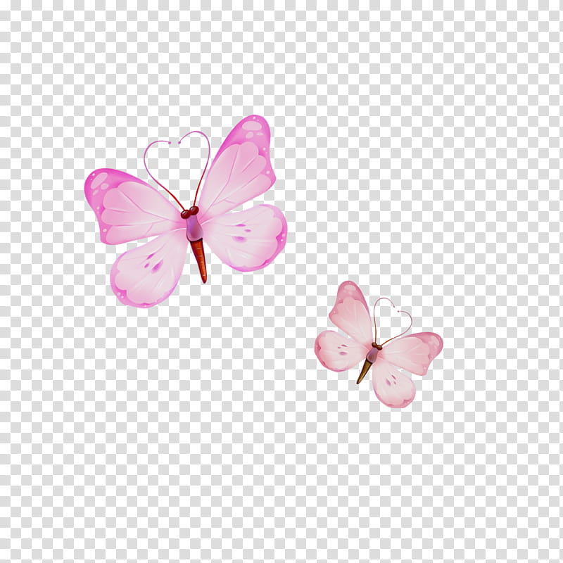 Watercolor Flower, Paint, Wet Ink, Butterfly, Pink, Desktop , Owlet Moths, Borboleta transparent background PNG clipart