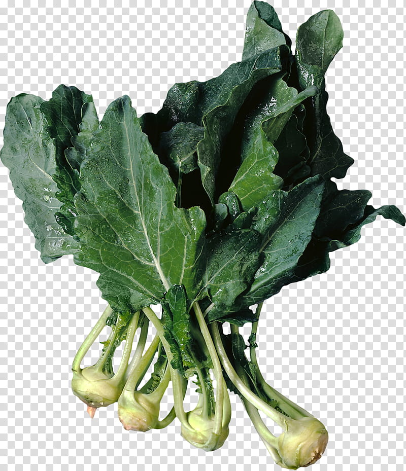 Vegetables, Kohlrabi, Turnip, Food, Collard Greens, Cabbage, Radish, Rapini transparent background PNG clipart