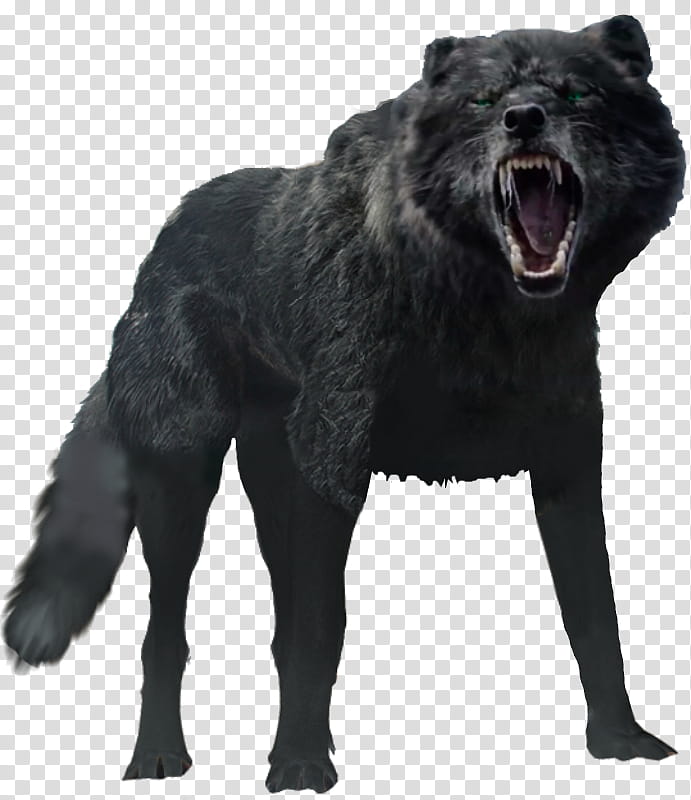 Thor Ragnarok Fenrir, black wolf transparent background PNG clipart