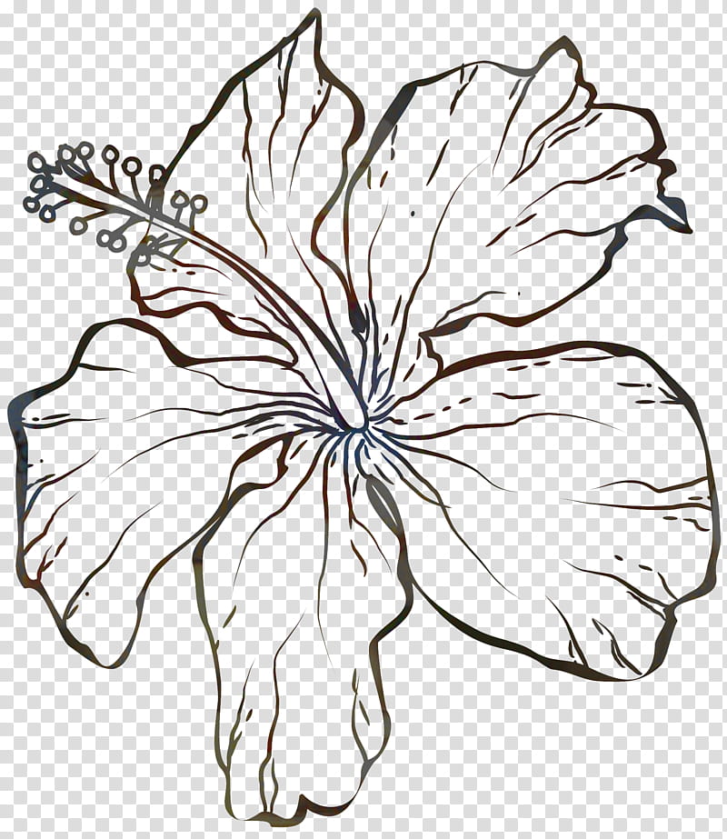 Black And White Flower, Floral Design, Leaf, Symmetry, Plant Stem, Plants, Rosemallows, Drawing transparent background PNG clipart
