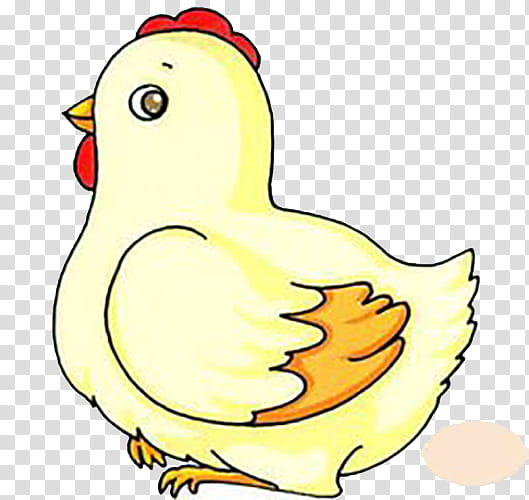 Bird, Chicken, Egg, Rooster, Poultry, Animation, Cartoon, Drawing transparent background PNG clipart
