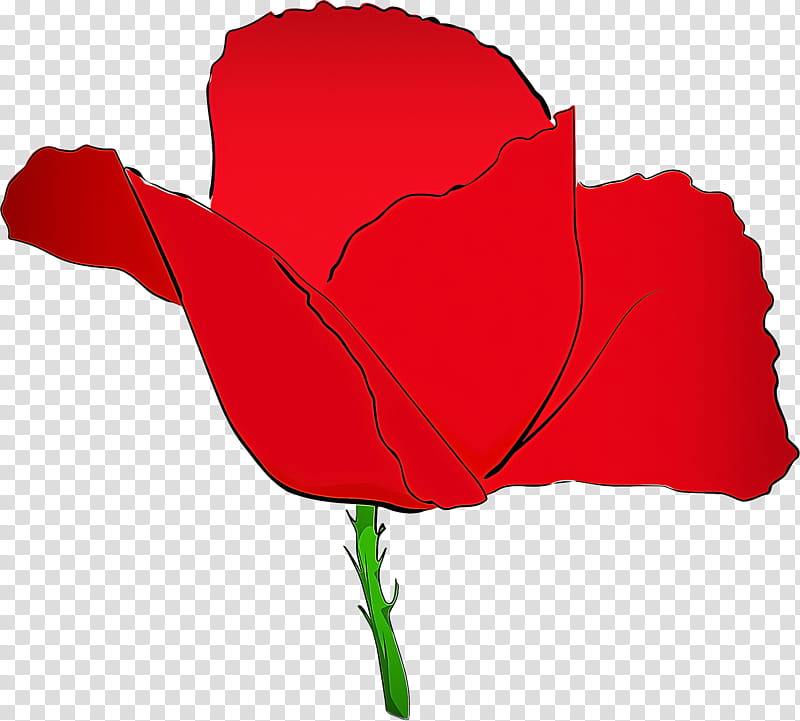 red flower petal leaf, Coquelicot, Tulip, Plant, Corn Poppy transparent background PNG clipart