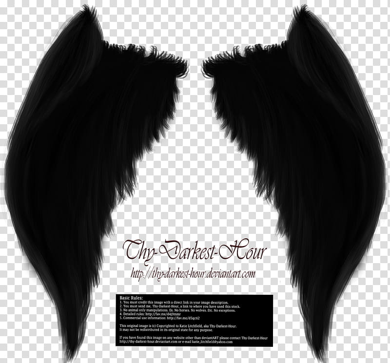 My Soul to Keep Wings Black Free transparent background PNG clipart