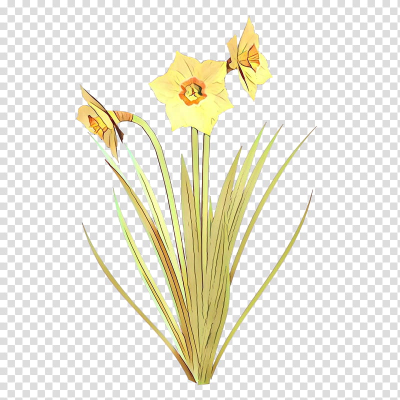 Lily Flower, Cartoon, Amaryllis, Jersey Lily, Narcissus, Yellow, Belladonna, Plant Stem transparent background PNG clipart