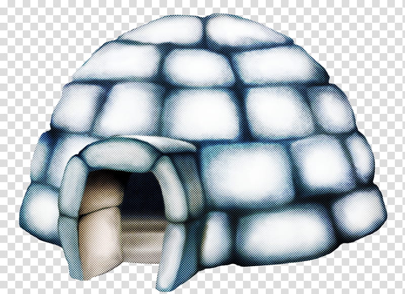 tortoise turtle chelonoidis reptile igloo, Pond Turtle, Desert Tortoise transparent background PNG clipart