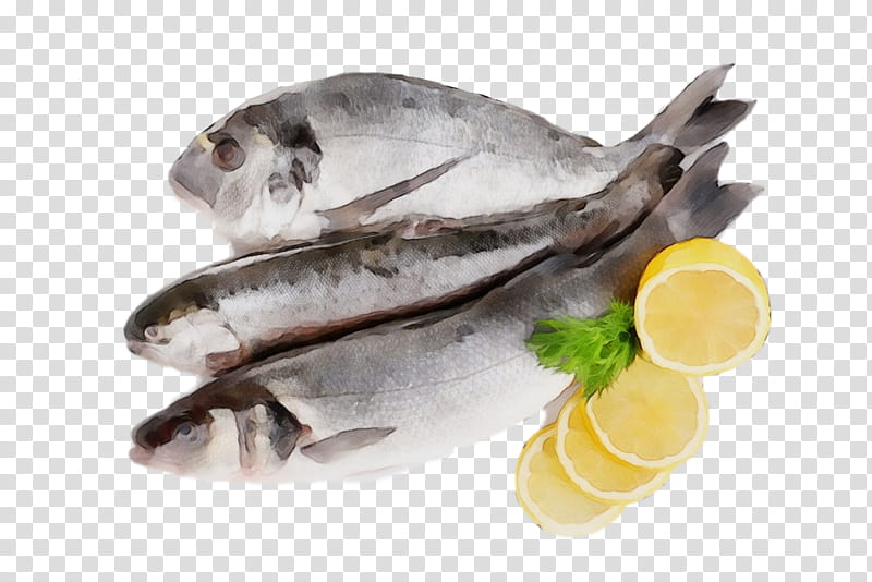 fish seafood food fish oily fish, Watercolor, Paint, Wet Ink, Soused Herring transparent background PNG clipart