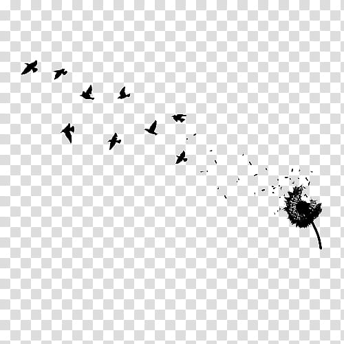 BRUSH FLOWER AND BIRDS, dandelion and bird transparent background PNG clipart