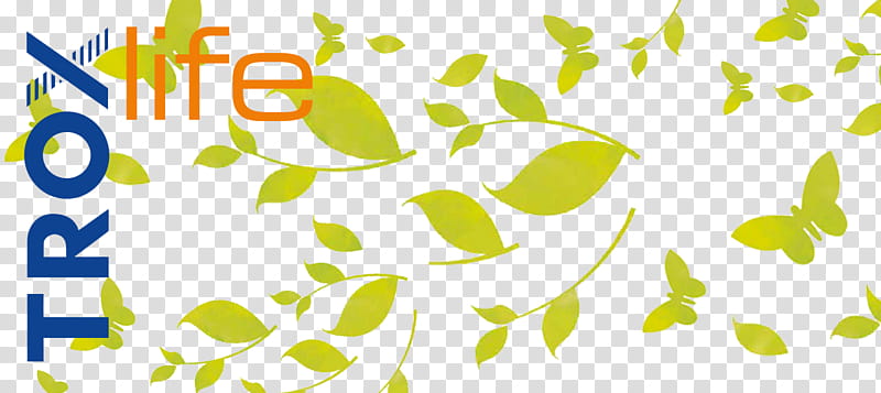 Green Leaf Logo, Trox Gmbh, Predstavnistvo Trox Austria Gmbh, Trox Argentina Sa, Trox Italia Spa, Trox Hesco Schweiz Ag, Yellow, Text transparent background PNG clipart