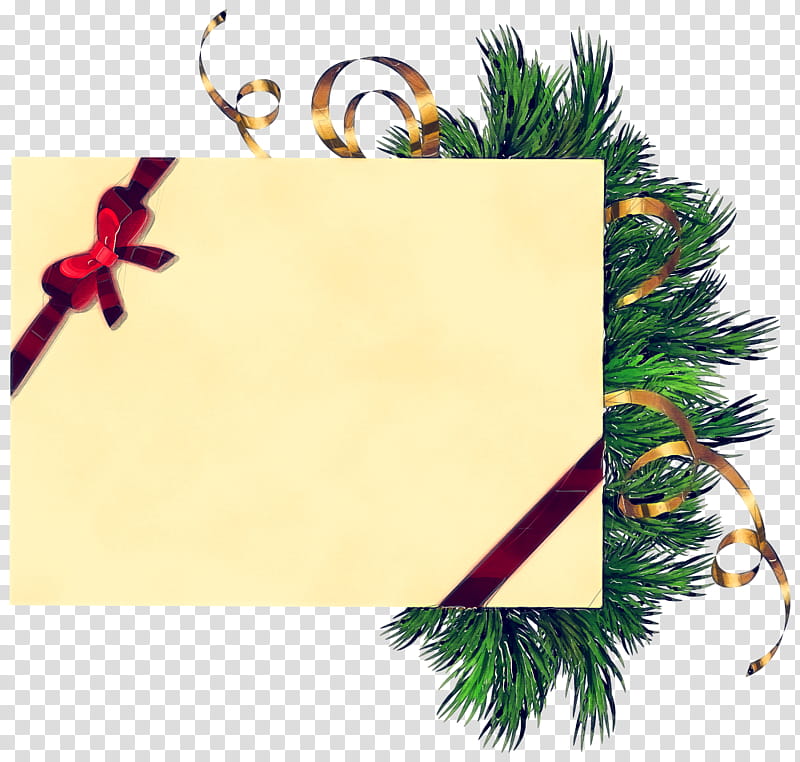 Background Family Day, Christmas Ornament, Christmas Day, Meter, Fir, Pine, Conifer, Pine Family transparent background PNG clipart