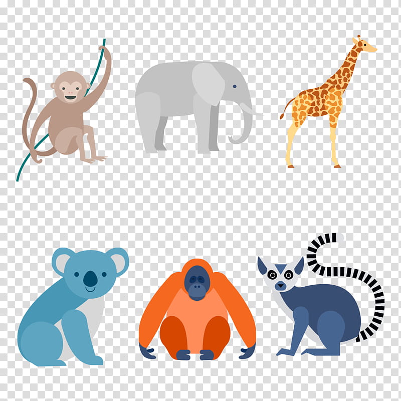 Monkey, Cat, Lemurs, Animal, Creativity, Animal Sauvage, Wildlife, Orange transparent background PNG clipart