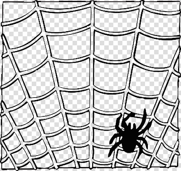 Halloween, black spider and web illustration transparent background PNG clipart