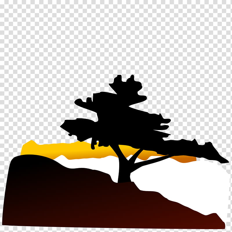 Pine Tree Silhouette, Bonsai, Cedar, Landscape, Drawing, Leaf transparent background PNG clipart