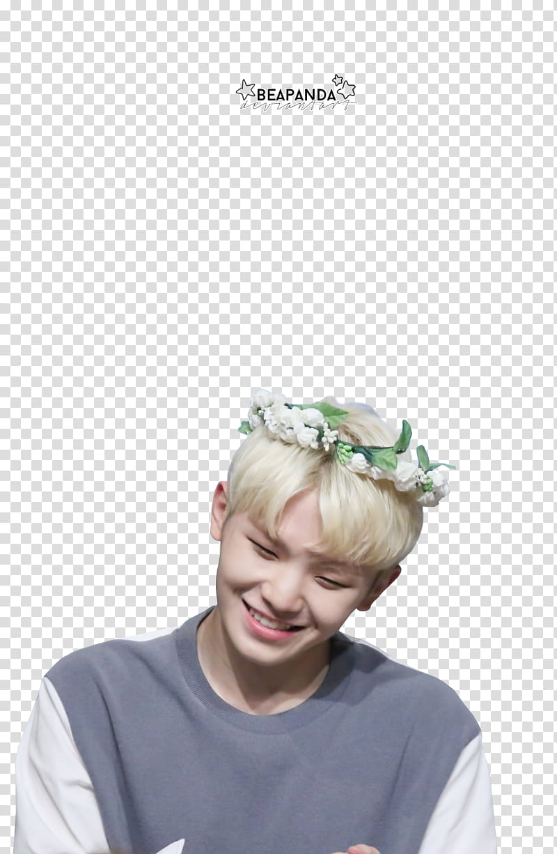 Woozi SEVENTEEN, man wearing gray and white crew-neck shirt transparent background PNG clipart