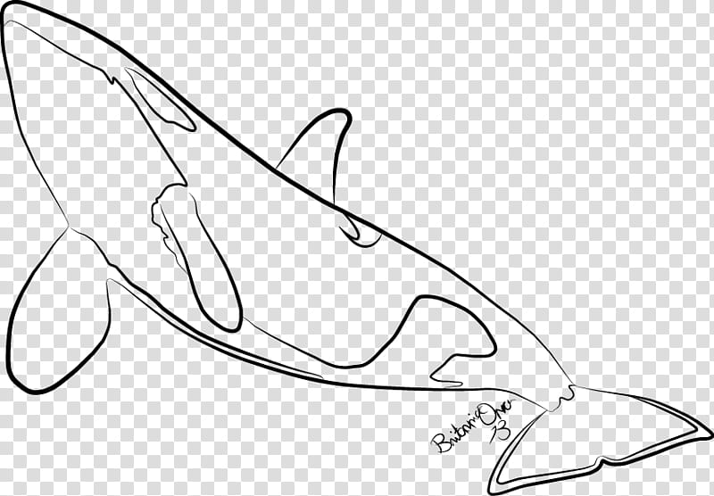 Orca line art, black and white killer whale illustration transparent background PNG clipart