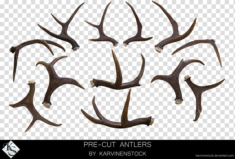 Antlers Pre cut , brown pre-cut antler lot screenshot transparent background PNG clipart