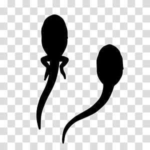 Silhouette Silhouette, Line, Blackandwhite transparent background PNG clipart thumbnail