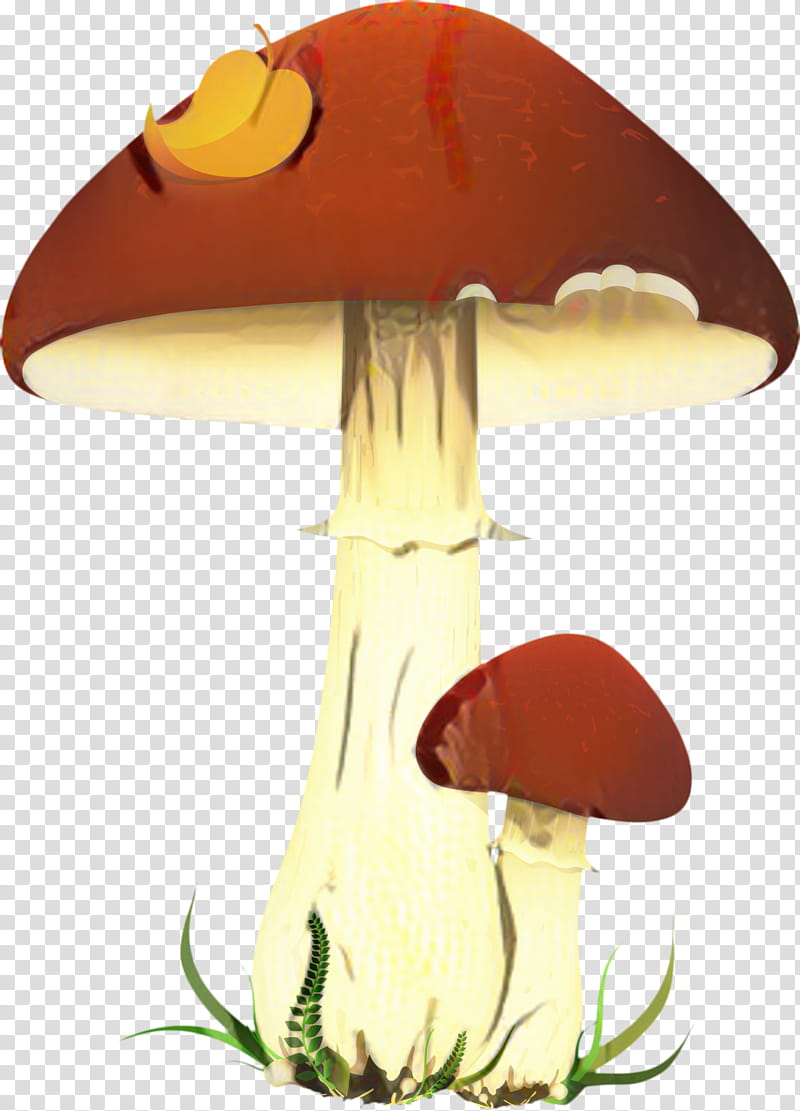 Mushroom, Edible Mushroom, Chanterelle, Fungus, Fly Agaric, Drawing, Agaricomycetes, Penny Bun transparent background PNG clipart