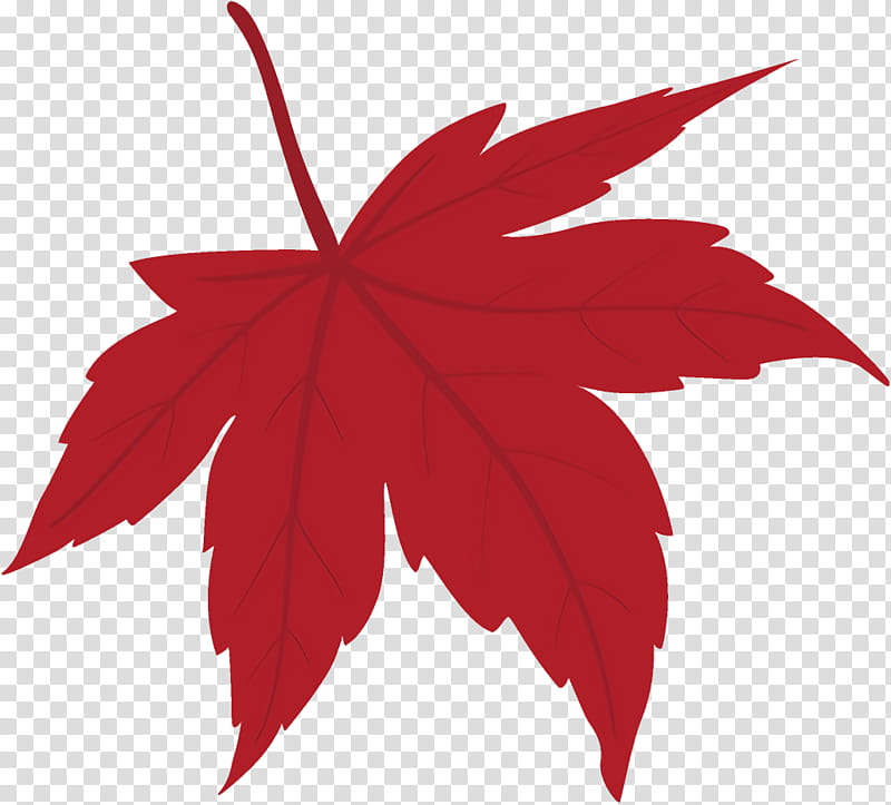 maple leaf fallen leaf dead leaf, Autumn Leaf, Red, Tree, Plant, Woody Plant, Black Maple, Sweet Gum transparent background PNG clipart