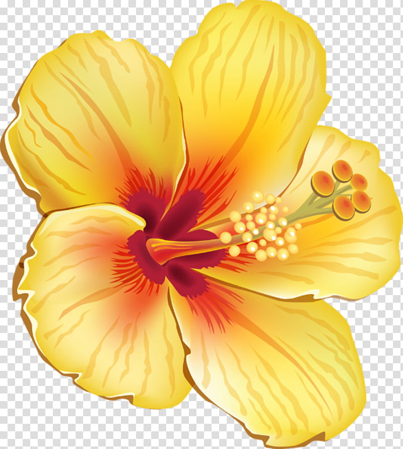 How to Do Your Own Hibiscus Flower Drawing  Artsydee  Drawing Painting  Craft  Creativity