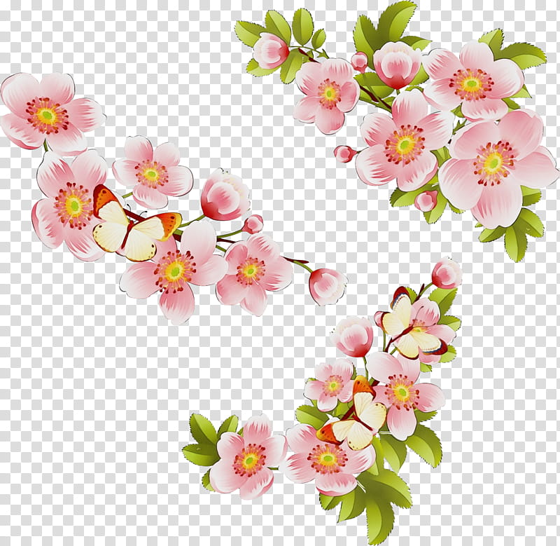 Cherry blossom, Watercolor, Paint, Wet Ink, Flower, Branch, Plant, Pink transparent background PNG clipart