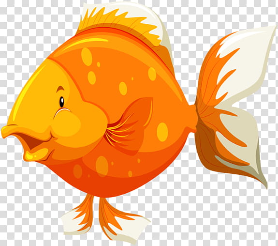 Fish, Fish Anatomy, Bony Fishes, Goldfish, Diagram, Orange, Cartoon, European Robin transparent background PNG clipart