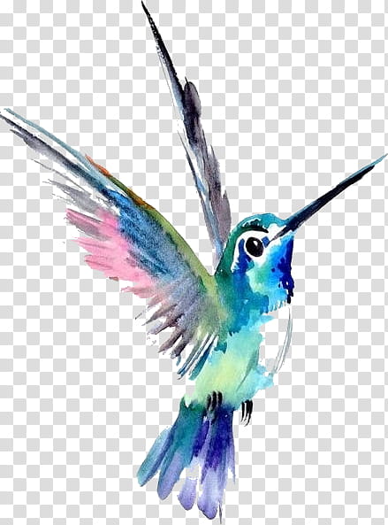 Watercolor Abstract, Watercolor Painting, Hummingbird, Drawing, Music, Watercolor Animals, Piano, Watercolor Paper transparent background PNG clipart
