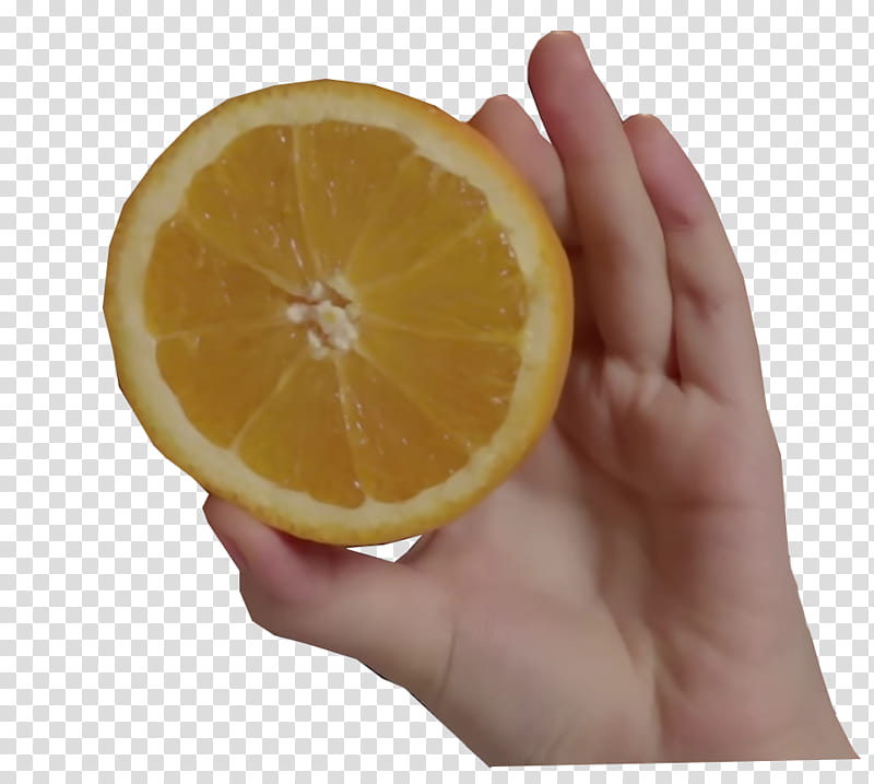 SHARE IU Palette , person holding sliced lemon transparent background PNG clipart