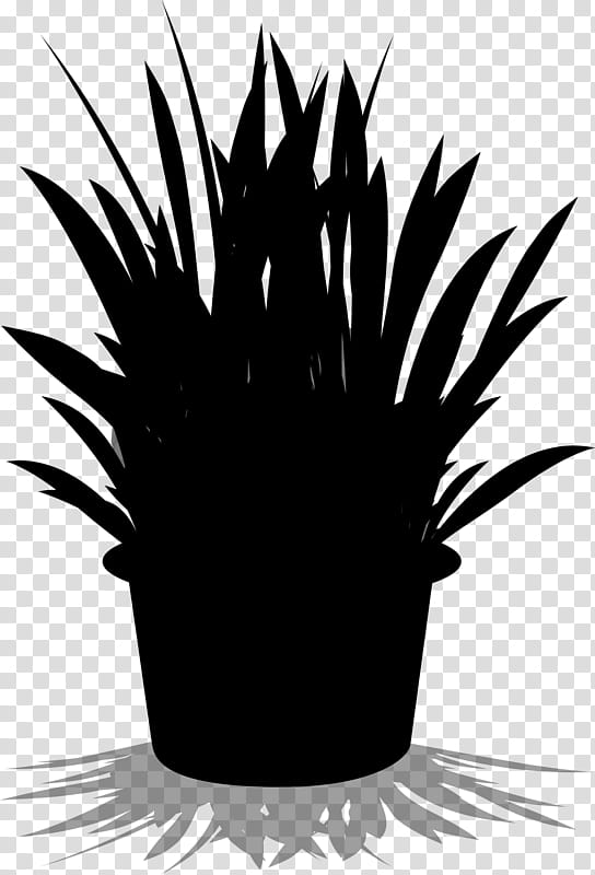 Palm Tree Drawing, Palm Trees, Flowerpot, Leaf, Beaked Yucca, Spineless Yucca, Silhouette, Houseplant transparent background PNG clipart