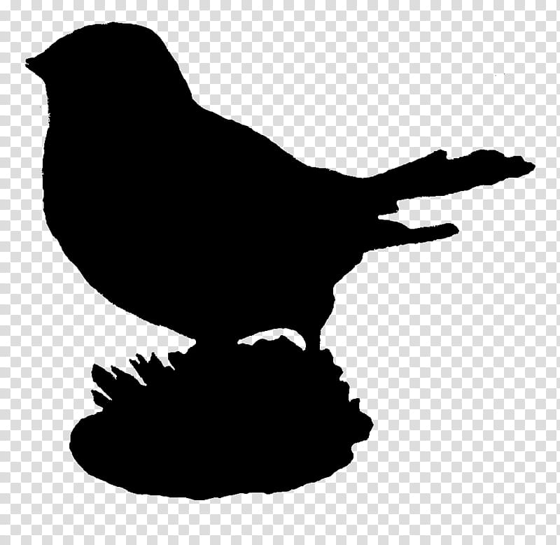 Robin Bird, Beak, Silhouette, Raven, Perching Bird, Songbird, Crowlike Bird transparent background PNG clipart