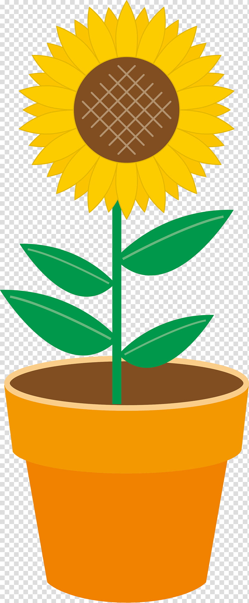 Sunflower, Cartoon, Flowerpot, Yellow, Houseplant, Sunflower Seed, Leaf transparent background PNG clipart