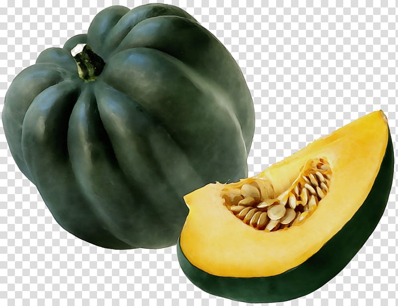 fruit plant acorn squash food winter squash, Watercolor, Paint, Wet Ink, Muskmelon, Vegetable, Calabaza transparent background PNG clipart