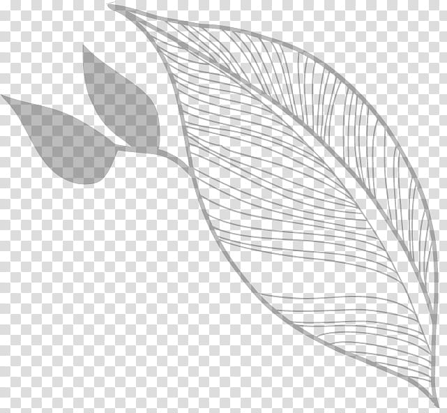 Flowers PS Brushes, gray leaf illustration transparent background PNG clipart