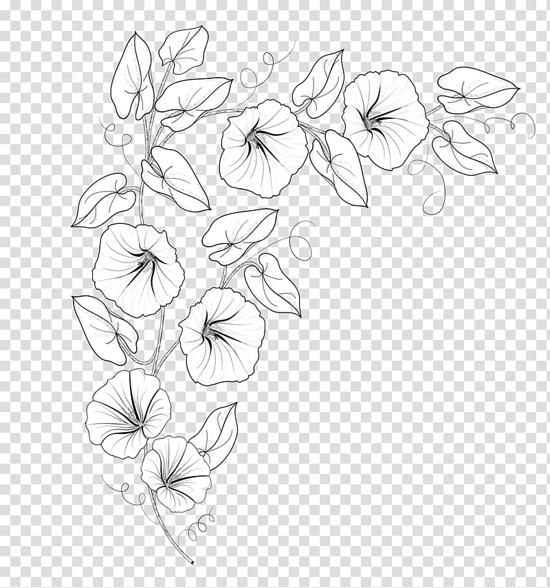 FIower N, white flower border transparent background PNG clipart