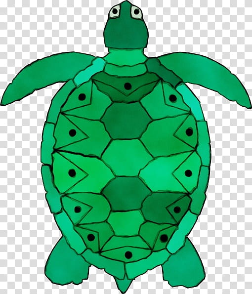 Sea Turtle, Silhouette, Teenage Mutant Ninja Turtles, Green Sea Turtle, Hawksbill Sea Turtle, Painted Turtle, Document, Tortoise transparent background PNG clipart