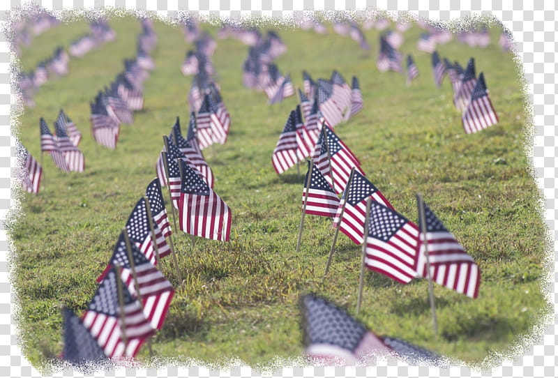 Usa Flag, Grassland, Zebra, Lavender, Flag Of The United States, Memorial Day, Flag Day Usa, Plant transparent background PNG clipart