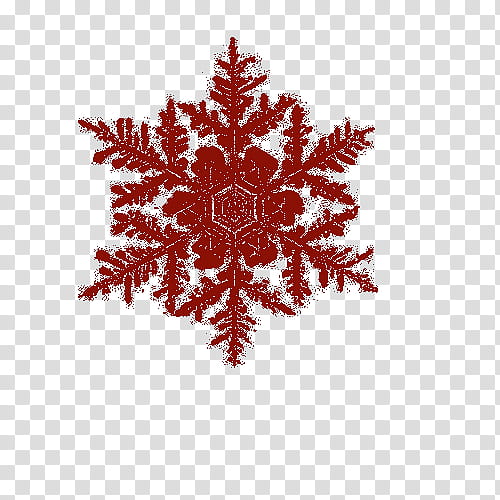 red snowflakes illustration transparent background PNG clipart