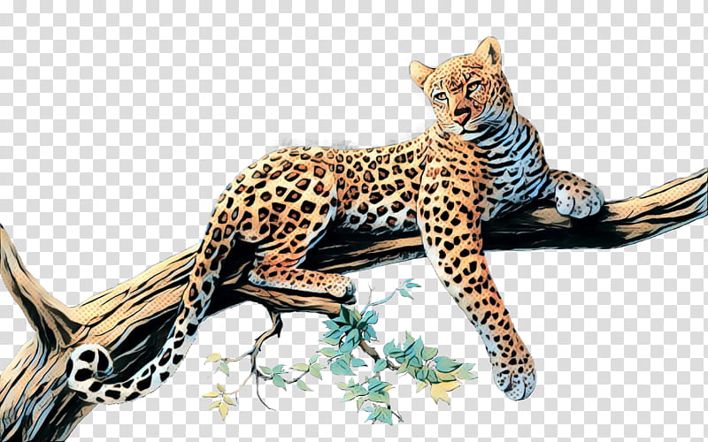 cat small to medium-sized cats terrestrial animal wildlife leopard, Pop Art, Retro, Vintage, Small To Mediumsized Cats, Wild Cat transparent background PNG clipart