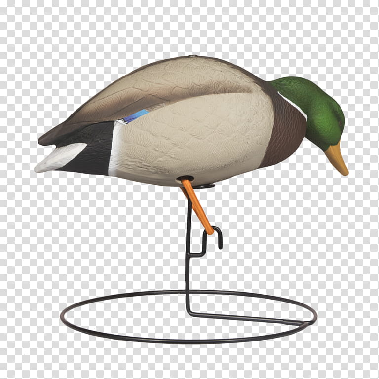 Duck, Mallard, Goose, Beak, Bird, Waterfowl, Decoy, Duck Decoy transparent background PNG clipart