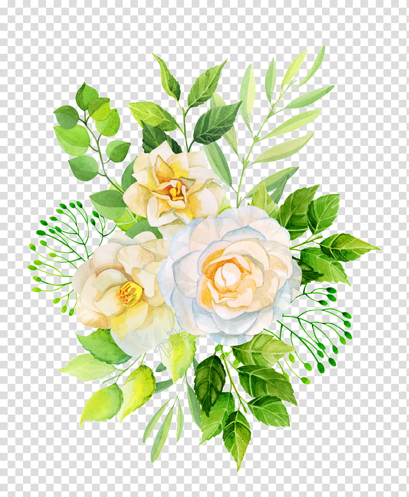 Bouquet Of Flowers Drawing, Garden Roses, Watercolor Painting, White, Plant, Cut Flowers, Rose Family, Yellow transparent background PNG clipart