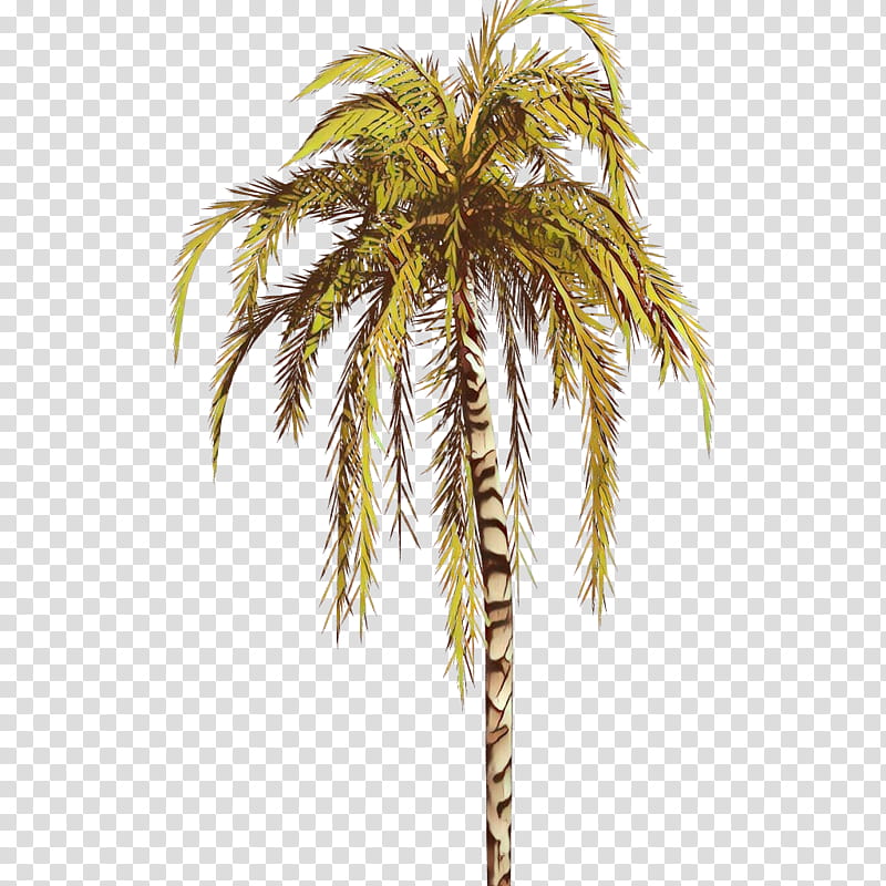 Palm tree, Cartoon, Plant, Arecales, Woody Plant, Date Palm, Attalea Speciosa, Elaeis transparent background PNG clipart